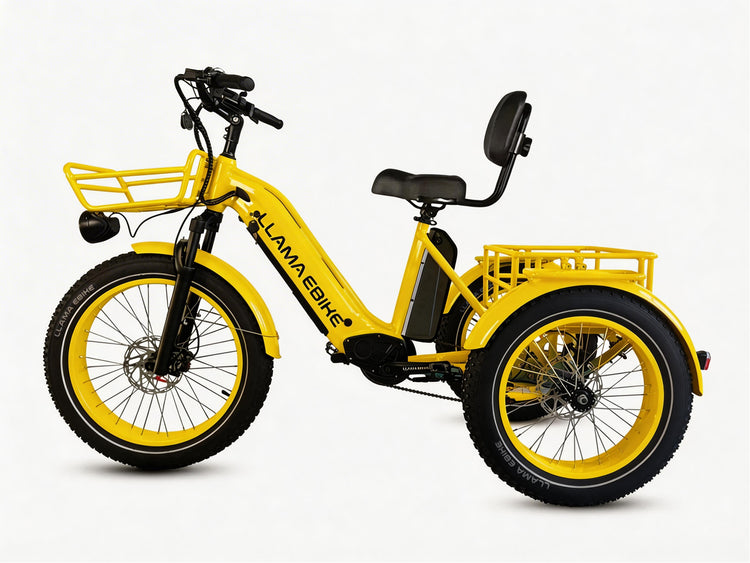 LLAMA Trike CT11 Fat Tire Electric Cargo Trike with NFC Unlock & Optional IoT(Fully Assembled)