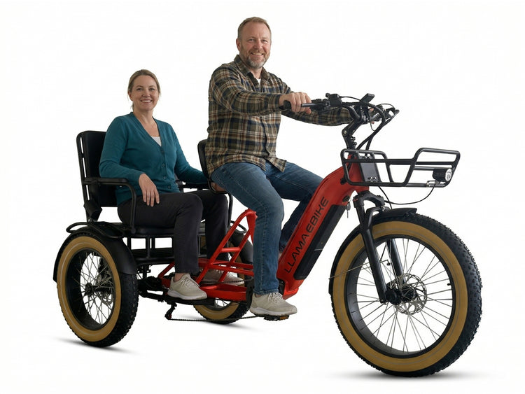 LLAMA CT12 Passenger Fat Tire 2-Seater Electric Trike