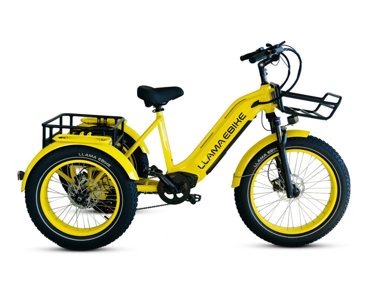 LLAMA Trike CT10 Fat Tire Electric Cargo Trike(Fully Assembled)
