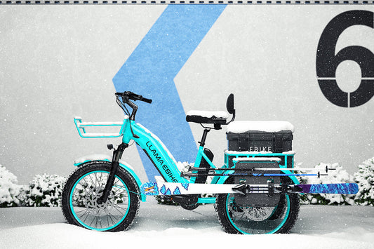 Winter eTrike Riding Guide: Stay Safe, Warm, and Confident on the Road