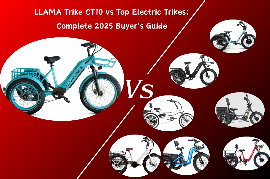 LLAMA Trike CT10 vs Top Electric Trikes: Complete 2025 Buyer's Guide
