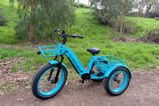 Conquer Any Terrain: Why the LLAMA CT10 Fat Tire E-Trike is the Ultimate Adventure Machine