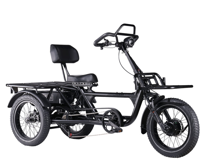 LLAMA Trike HT10 Dual Motor Fat Tire Electric Trike