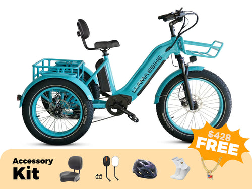 Trike CT10