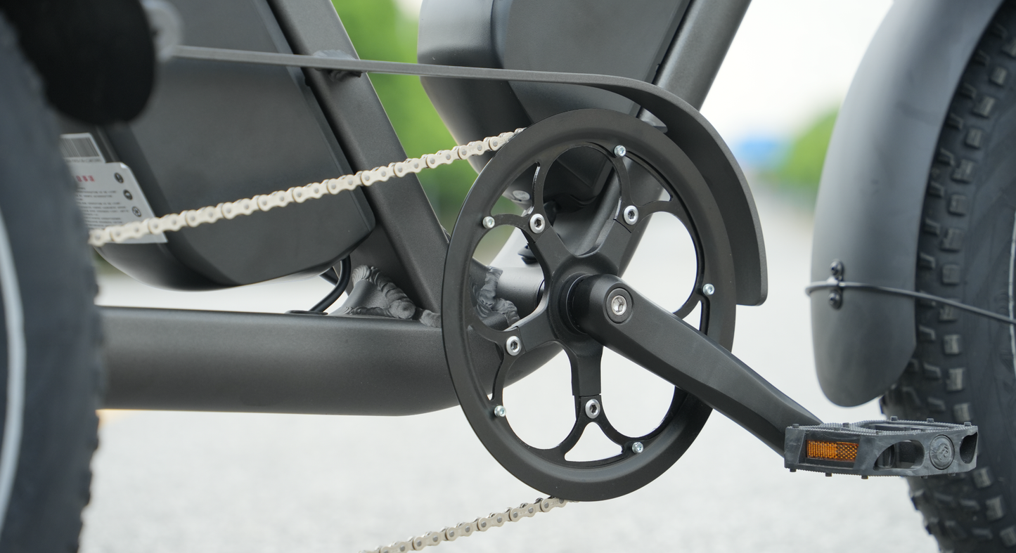 LLAMA Trike PT10 Dual Motor Passenger Electric Trike