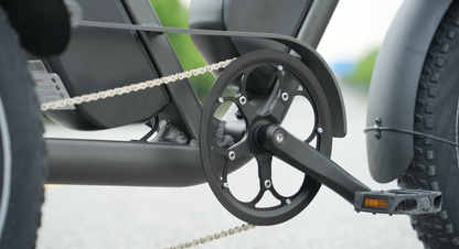 LLAMA Trike PT10 Dual Motor Passenger Electric Trike