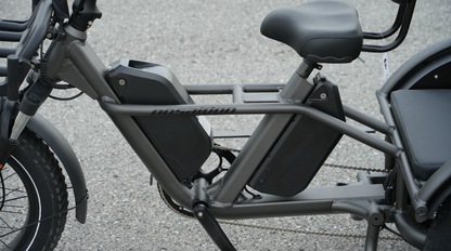 LLAMA Trike PT10 Dual Motor Passenger Electric Trike