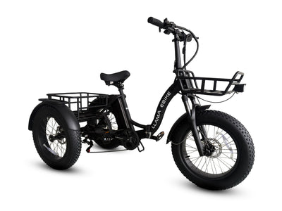 Trike FT10