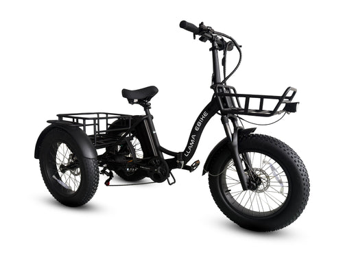 Trike FT10
