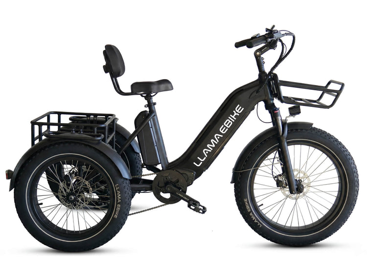 LLAMA Trike CT10 Fat Tire Electric Cargo Trike