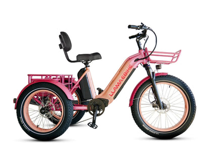 LLAMA Trike CT10 Fat Tire Electric Cargo Trike