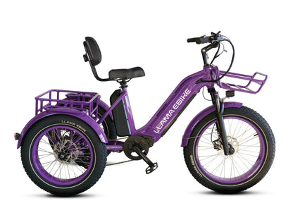 LLAMA Trike CT10 Fat Tire Electric Cargo Trike