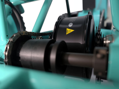 LLAMA Trike CT10 (Fully Assembled)