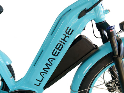 LLAMA Trike CT10 (Fully Assembled)