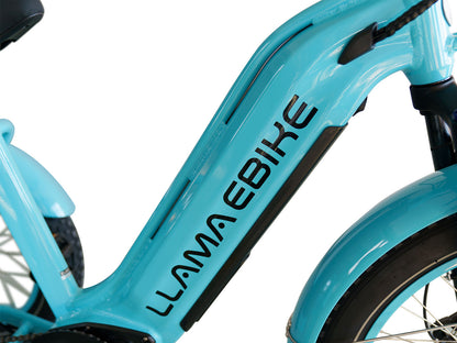 LLAMA Trike CT10 (Fully Assembled)