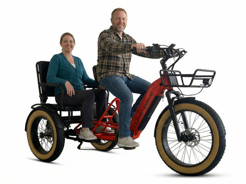 Trike CT12