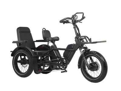 Trike PT10