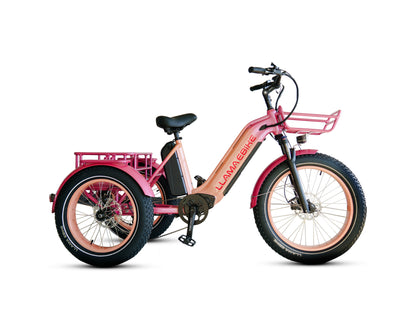 LLAMA Trike CT10 (Fully Assembled)