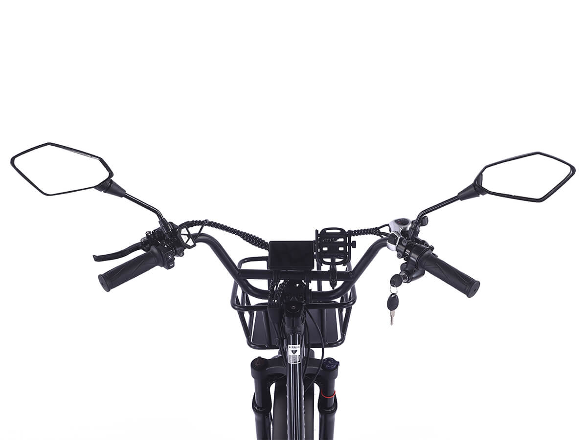 LLAMA Rover 1000W Rear-Drive Foldable Ultra-Range Fat Tire Electric Trike