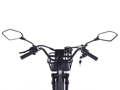 LLAMA Rover 1000W Rear-Drive Foldable Ultra-Range Fat Tire Electric Trike