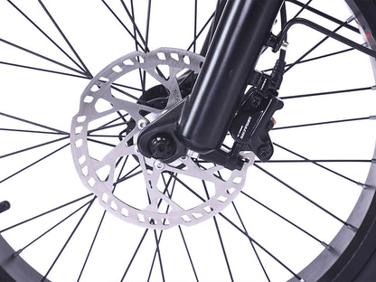 LLAMA Rover 1000W Rear-Drive Foldable Ultra-Range Fat Tire Electric Trike