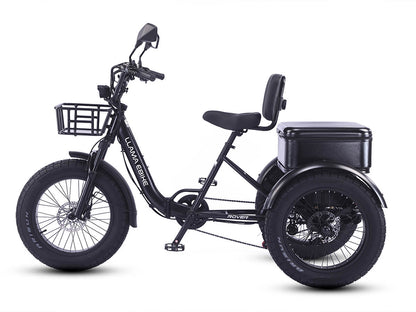LLAMA Rover 1000W Rear-Drive Foldable Ultra-Range Fat Tire Electric Trike