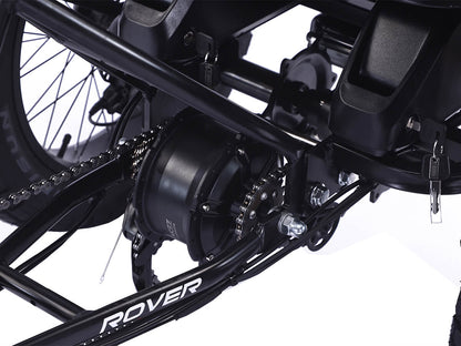 LLAMA Rover 1000W Rear-Drive Foldable Ultra-Range Fat Tire Electric Trike