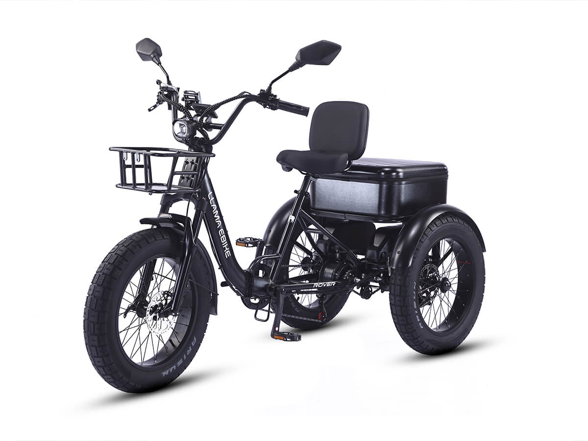 LLAMA Rover 1000W Rear-Drive Foldable Ultra-Range Fat Tire Electric Trike