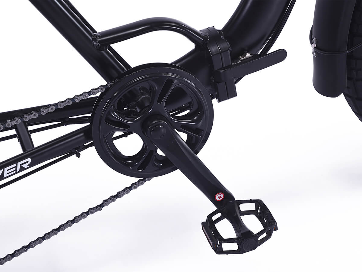 LLAMA Rover 1000W Rear-Drive Foldable Ultra-Range Fat Tire Electric Trike