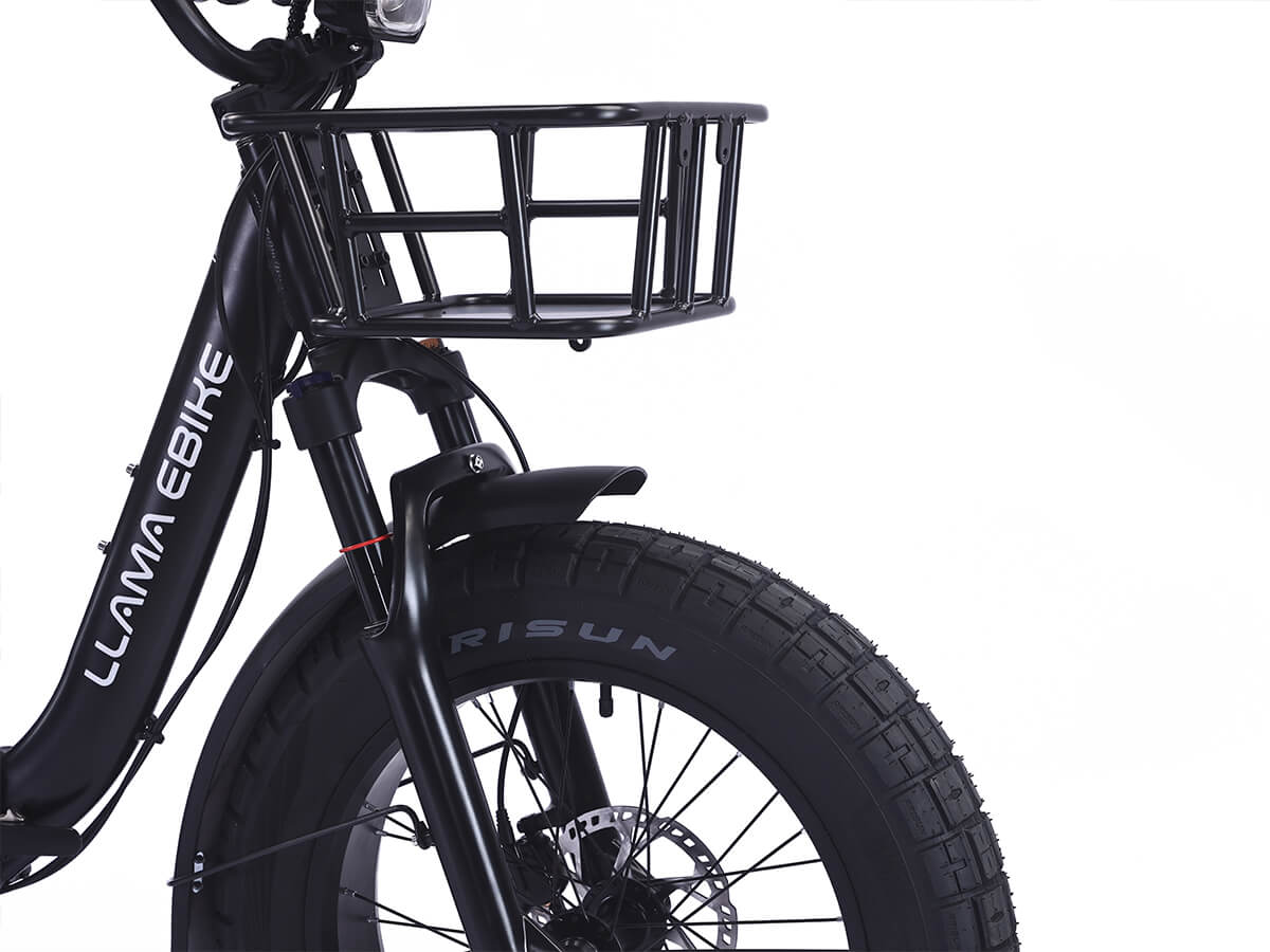 LLAMA Rover 1000W Rear-Drive Foldable Ultra-Range Fat Tire Electric Trike