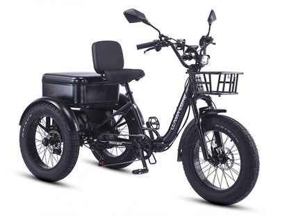 LLAMA Rover 1000W Rear-Drive Foldable Ultra-Range Fat Tire Electric Trike