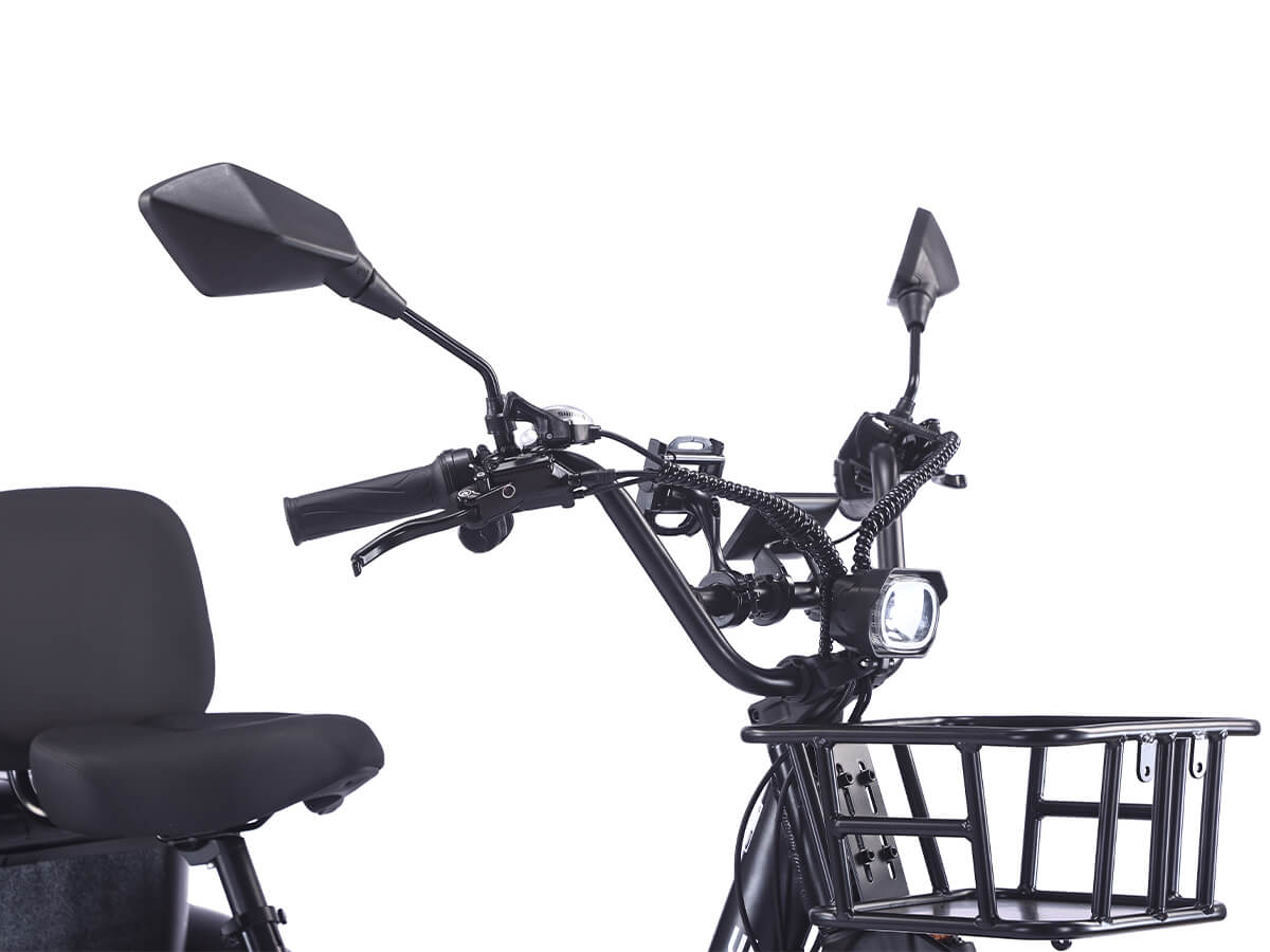 LLAMA Rover 1000W Rear-Drive Foldable Ultra-Range Fat Tire Electric Trike