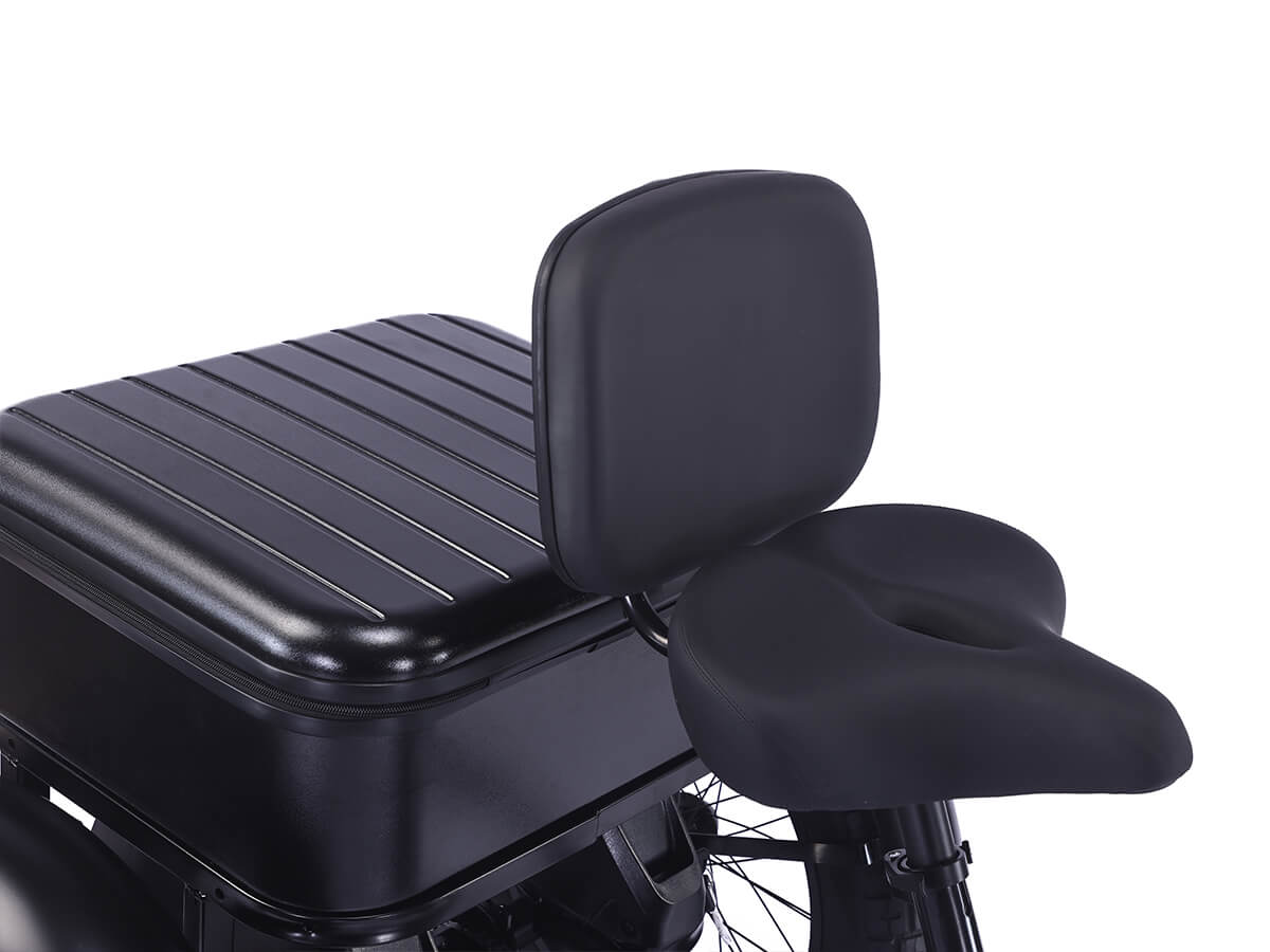 LLAMA Rover 1000W Rear-Drive Foldable Ultra-Range Fat Tire Electric Trike