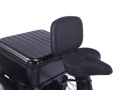 LLAMA Rover 1000W Rear-Drive Foldable Ultra-Range Fat Tire Electric Trike