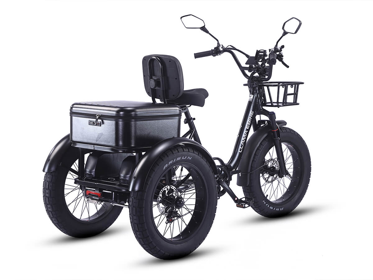 LLAMA Rover 1000W Rear-Drive Foldable Ultra-Range Fat Tire Electric Trike