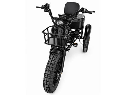 LLAMA Rover 1000W Rear-Drive Foldable Ultra-Range Fat Tire Electric Trike
