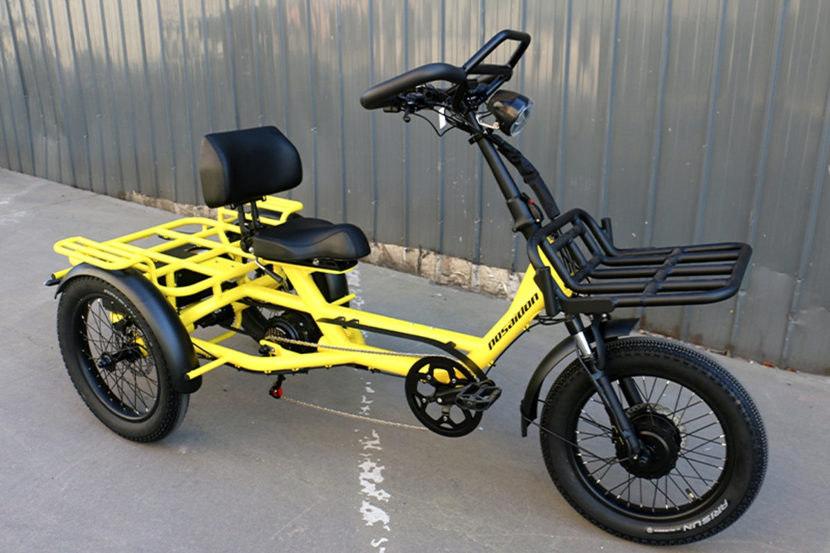 LLAMA Trike ST10