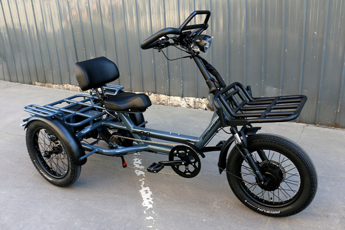 LLAMA Trike ST10