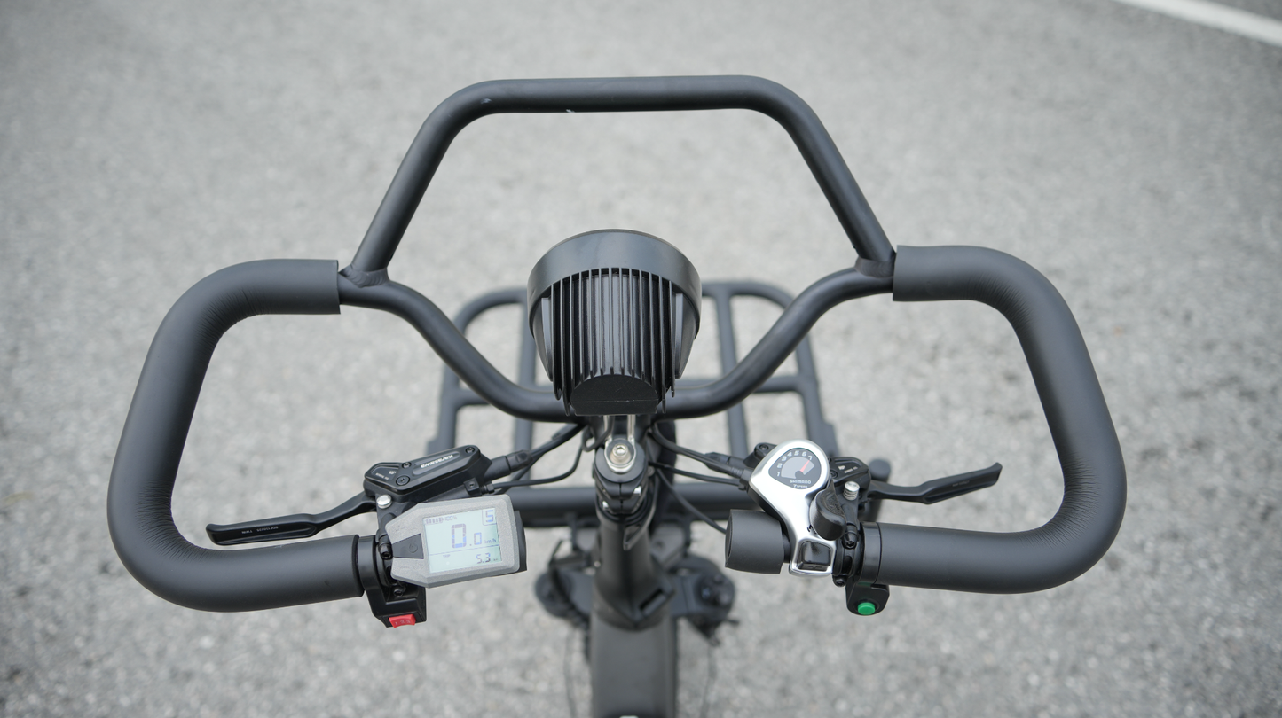 LLAMA Trike PT10 Dual Motor Passenger Electric Trike