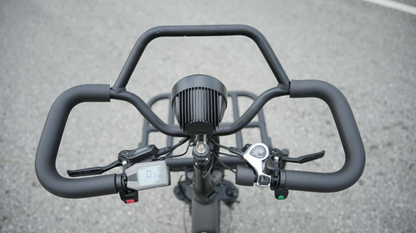 LLAMA Trike PT10 Dual Motor Passenger Electric Trike