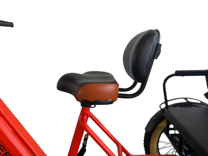 LLAMA CT12 Passenger Fat Tire 2-Seater Electric Trike