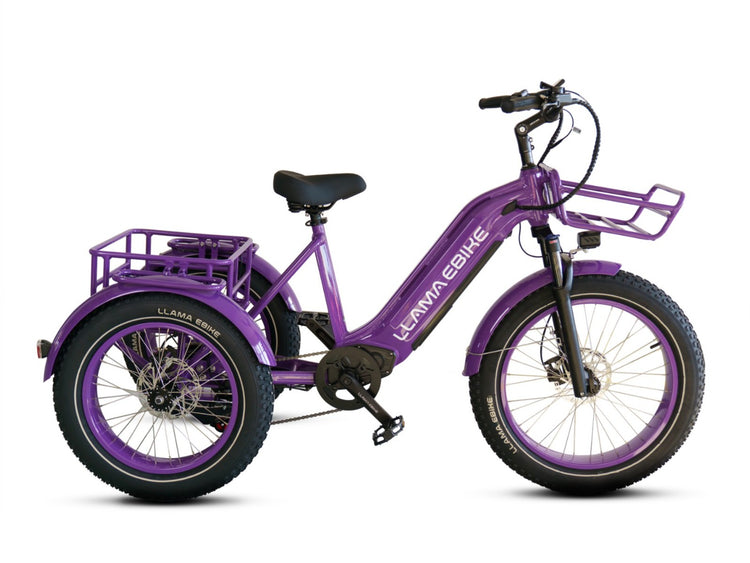 LLAMA Trike CT10 Fat Tire Electric Cargo Trike(Fully Assembled)