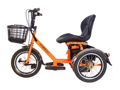 LLAMA Oasis Electric Trike