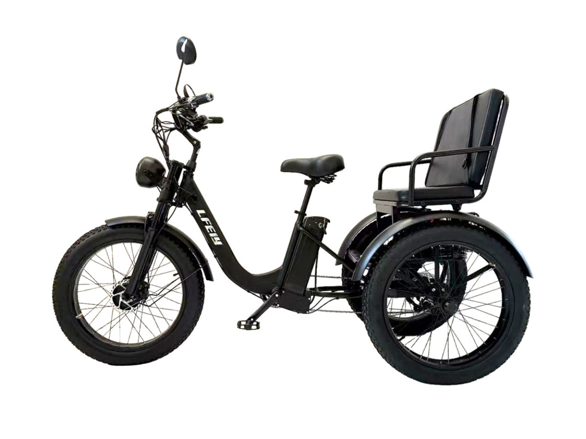 LLAMA Ridgeway Electric Trike
