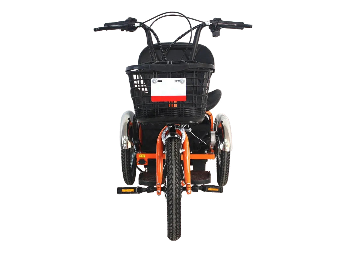LLAMA Oasis Electric Trike