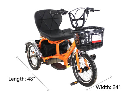 LLAMA Oasis Electric Trike