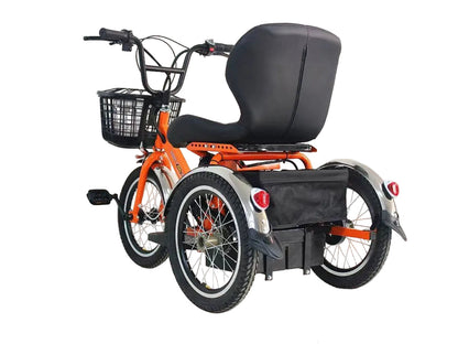 LLAMA Oasis Electric Trike