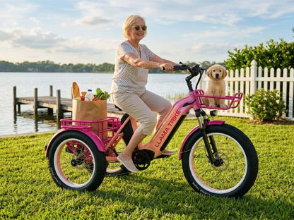 LLAMA Trike CT10 Fat Tire Electric Cargo Trike