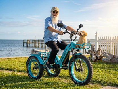 LLAMA Trike CT10 Fat Tire Electric Cargo Trike