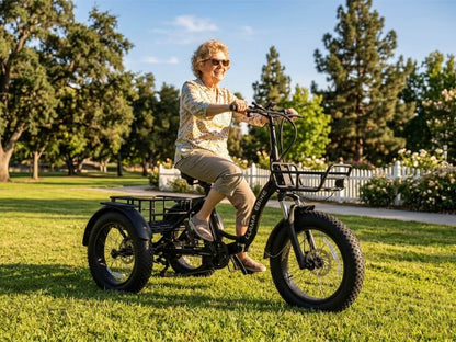 LLAMA Trike FT10 – Foldable Fat Tire Electric Trike